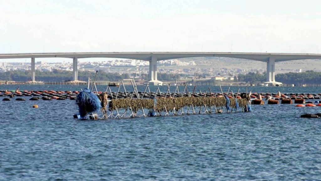 Taranto, una città ammalata: e la colpa non è soltanto dell'Ilva