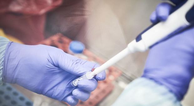 Un vaccino anti-Covid nato a Pomezia e finito in mani inglesi? L'accusa di Dagospia