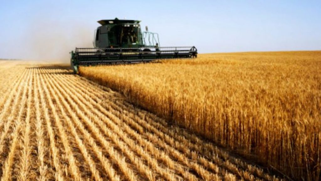 Foggia, gli agricoltori in protesta: "Vogliono abbassare ancora il prezzo del grano"
