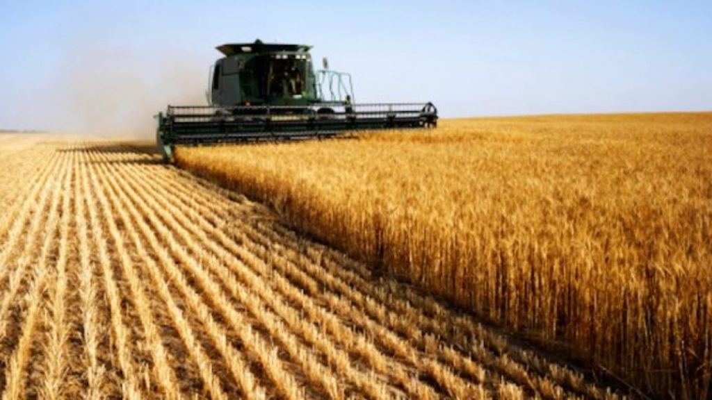 Foggia, gli agricoltori in protesta: "Vogliono abbassare ancora il prezzo del grano"
