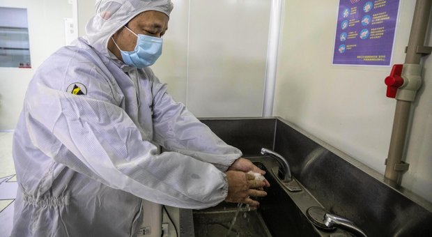 La retromarcia degli scienziati: "Niente chiusure, il Covid fa fatto circolare"