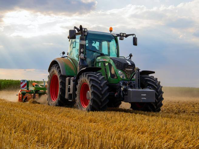 Prezzi alle stelle per mais, grano e fertilizzanti: la guerra è arrivata sulle nostre tavole