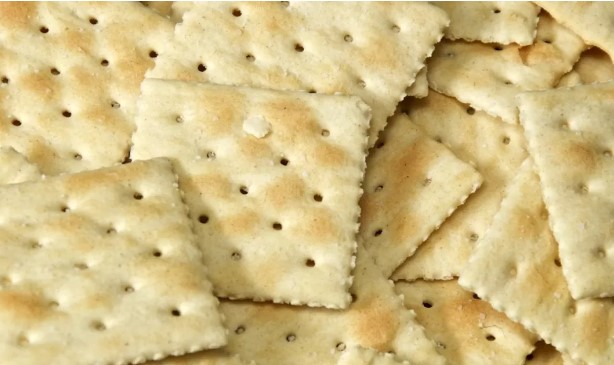 cracker farina insetti marca