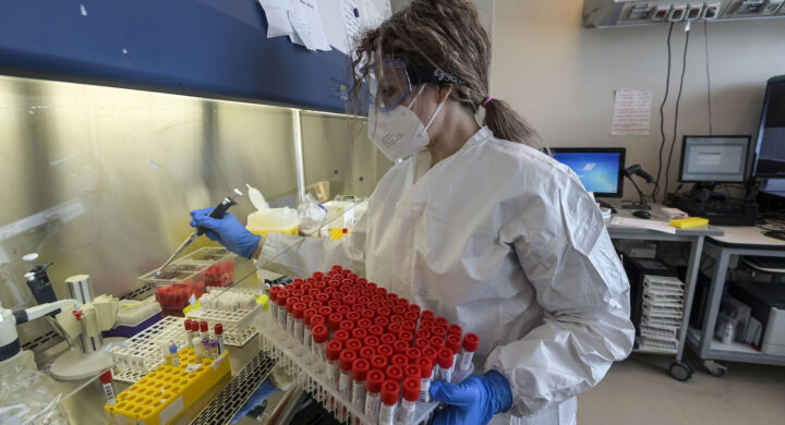 virus marburg cos'è trasmissione