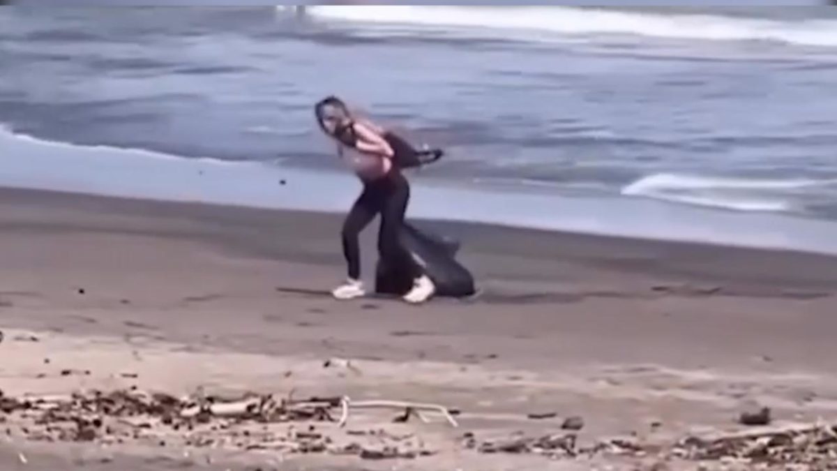 spiaggia spazzatura video