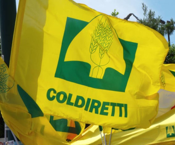Ue viticoltura coldiretti