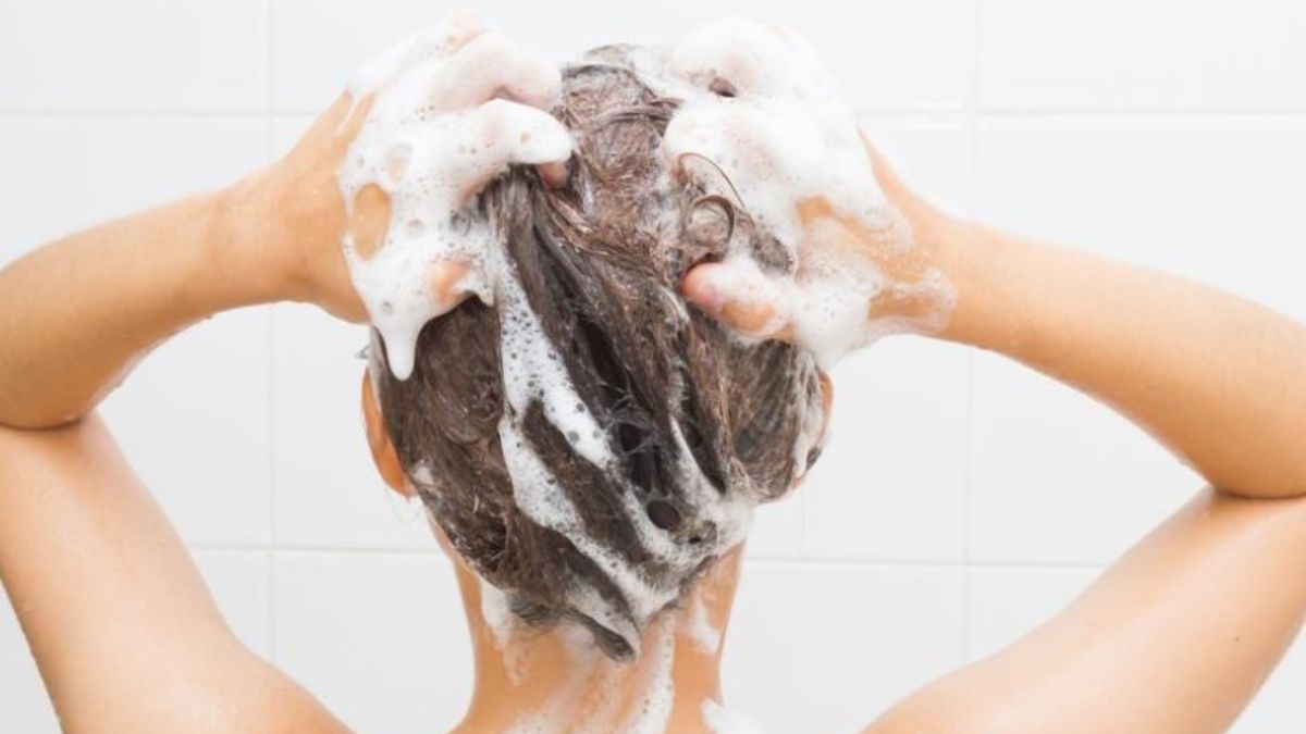 shampoo creme sequestrate lista