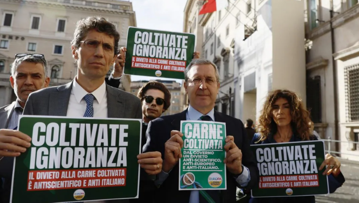 rissa davanti parlamento carne sintetica