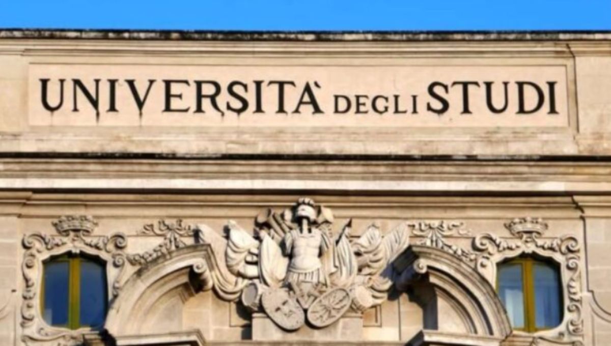universitari report spese studi