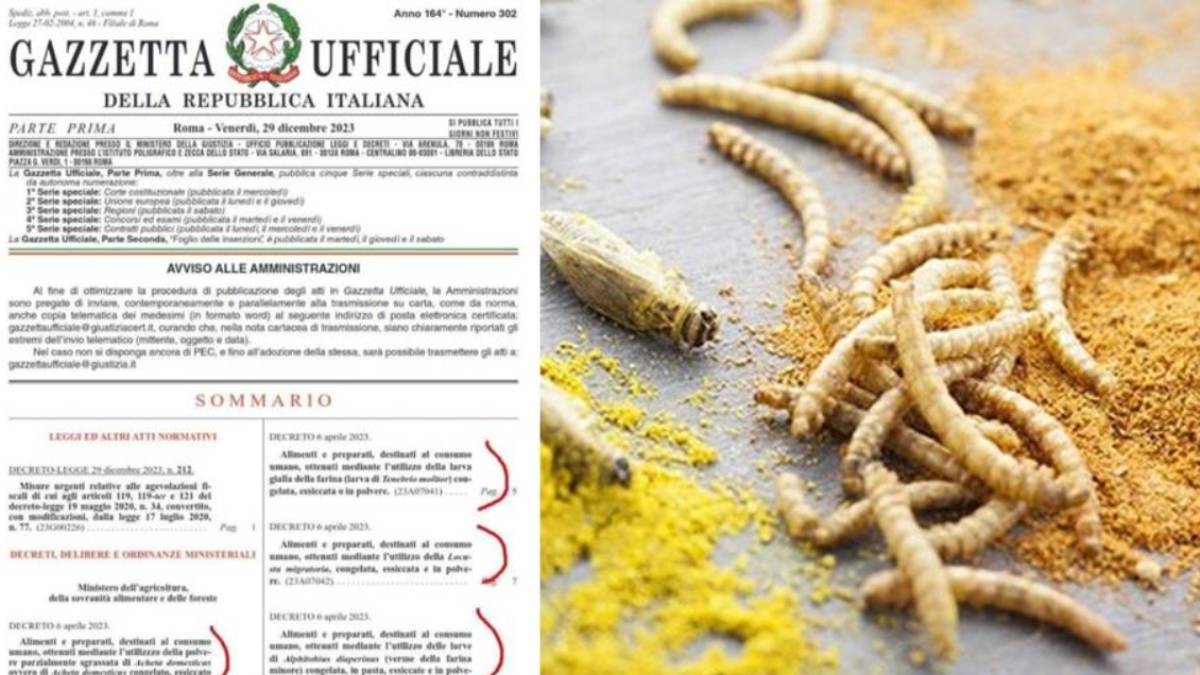Nuova legge italiana: Farina di insetti nei piatti! Cosa cambia?